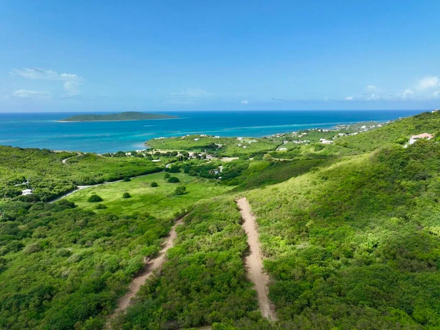 3.11 Acre Homesite Lot in Estate Solitude — photo 4