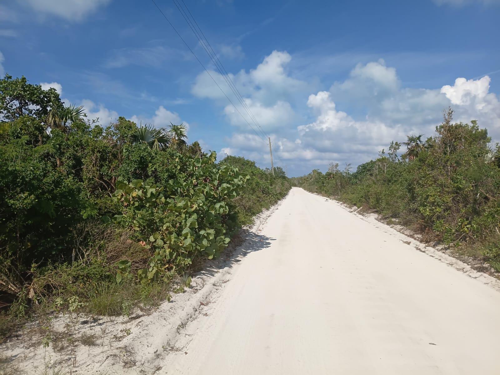 Vacant Land for Sale - Lot 88, Seahorse Shores Water Front Parcel — photo 2