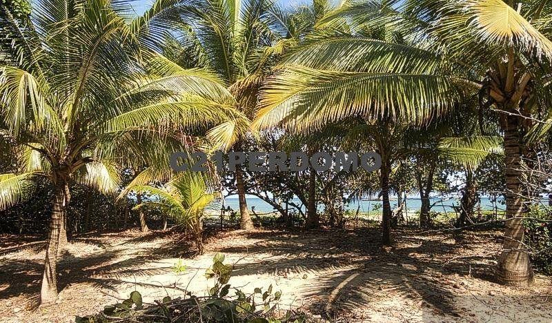 Beachfront Development Land for sale in Playa Cambiaso, Luperón — photo 2