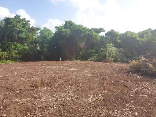 21856 sqft Land for Sale in Toco, Trinidad — photo 1