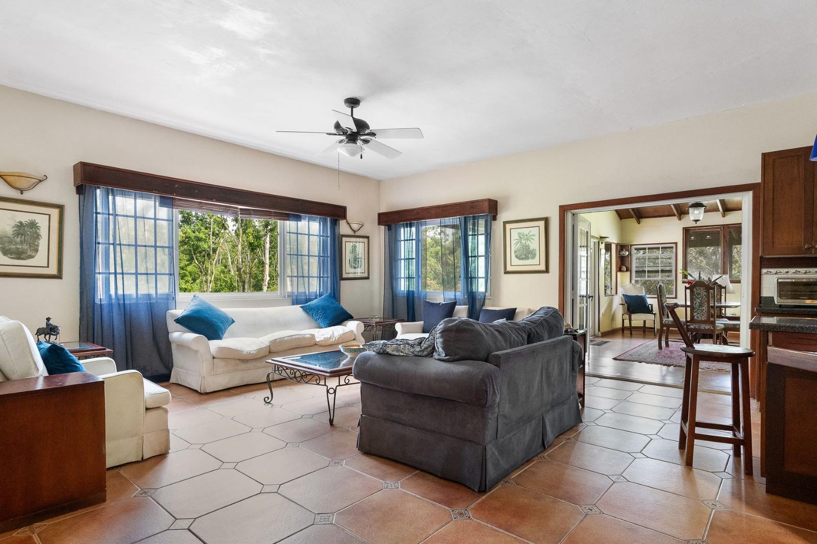 6 Bedroom Luxury House for Sale in Higgin Town, Saint Ann, Jamaica — photo 5