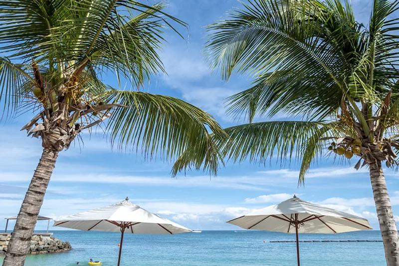 Two white parasols on a beach framed by leaning palms