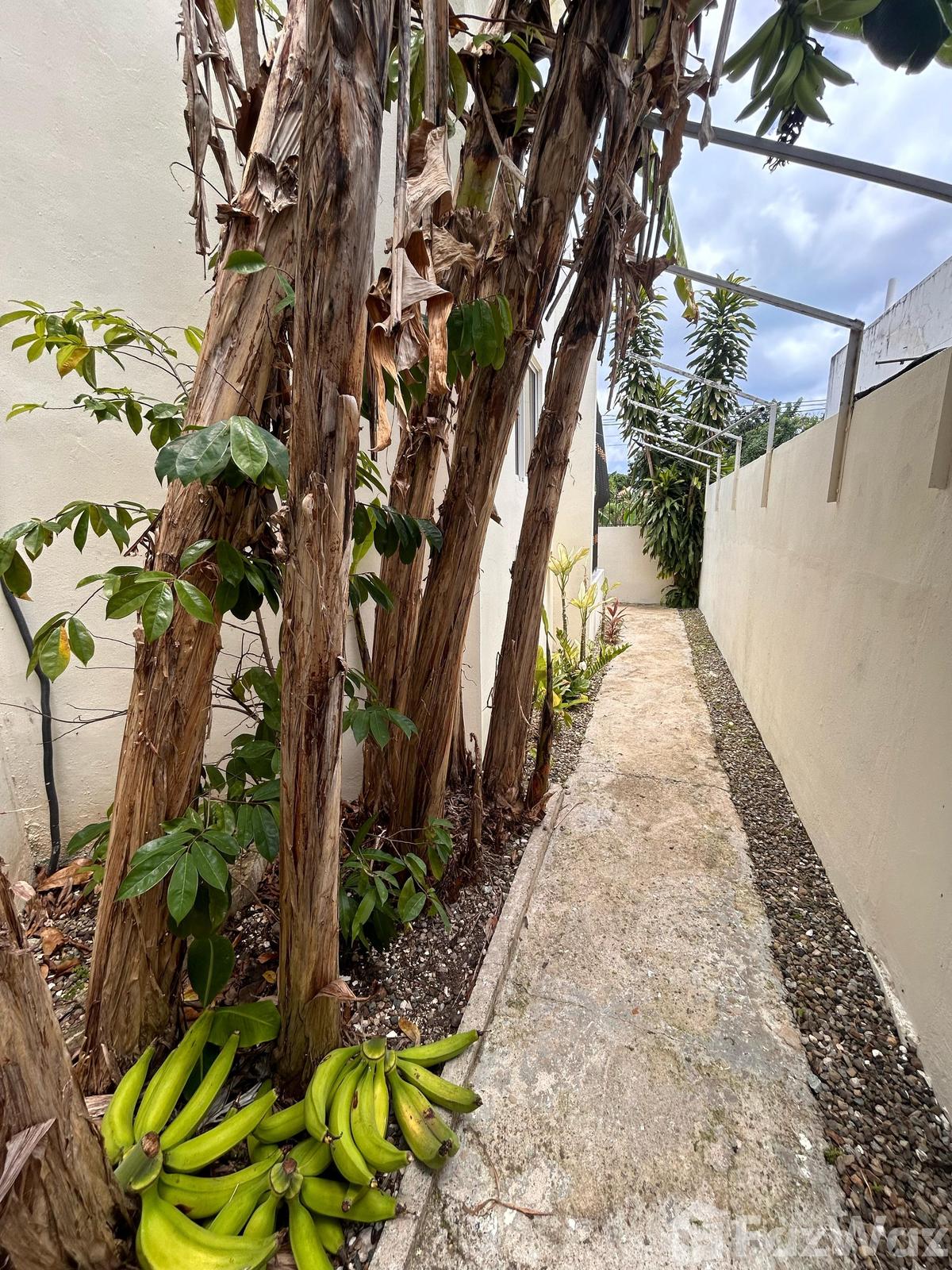Beautiful house in San Felipe De Puerto Plata, Dominican Republic — photo 2