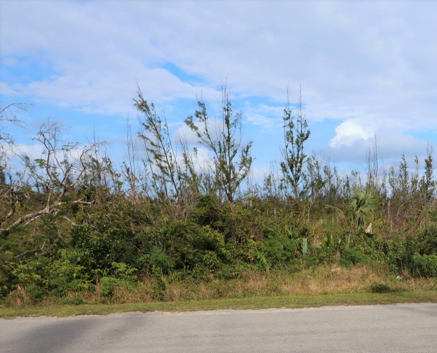 Vacant Land for sale - Lot 18, Blackwood, Bahamas — photo 5