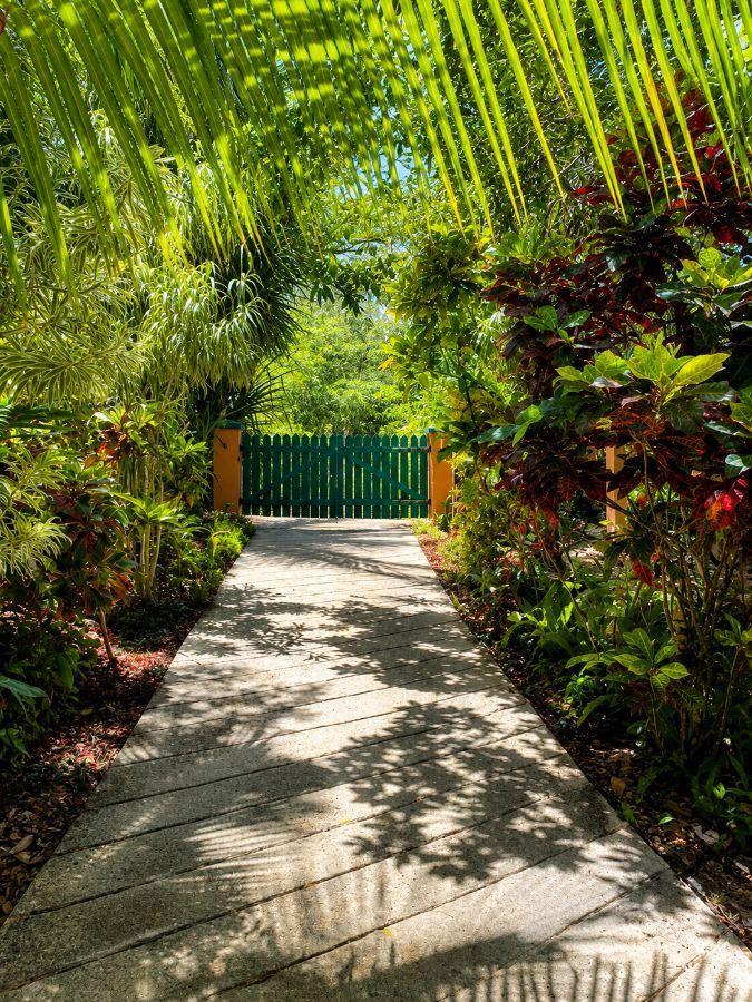 Exceptional 2,672 m² Building Plot with 180° Panoramic Sea Views - Las Terrenas — photo 5