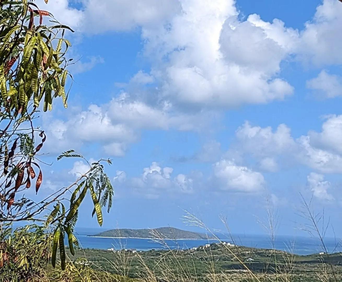 1.48 Acre Homesite with Sea Views in East End, St. Croix — photo 3
