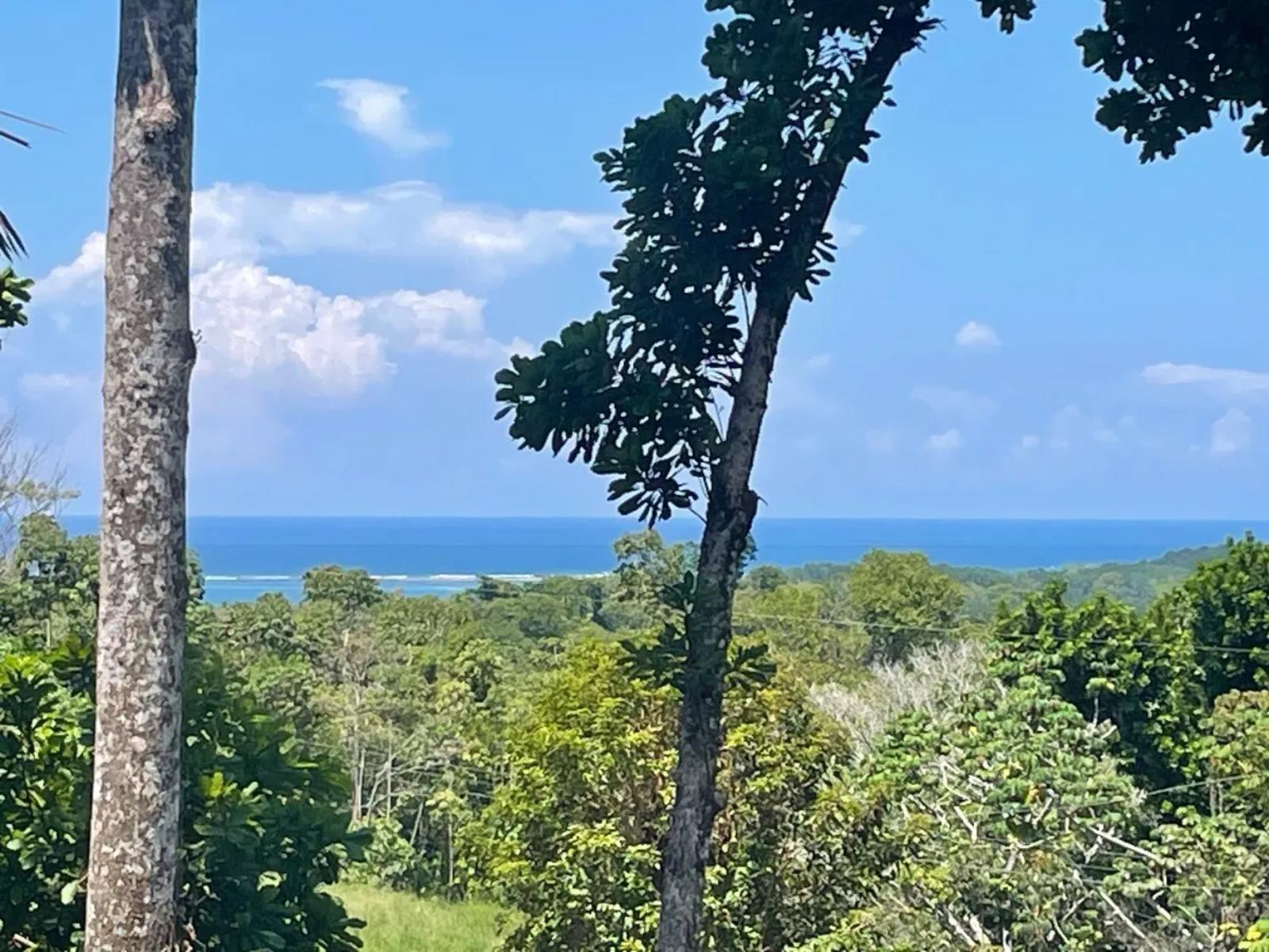 4 Bedroom Luxury House for Sale, Uvita, Costa Rica — photo 5