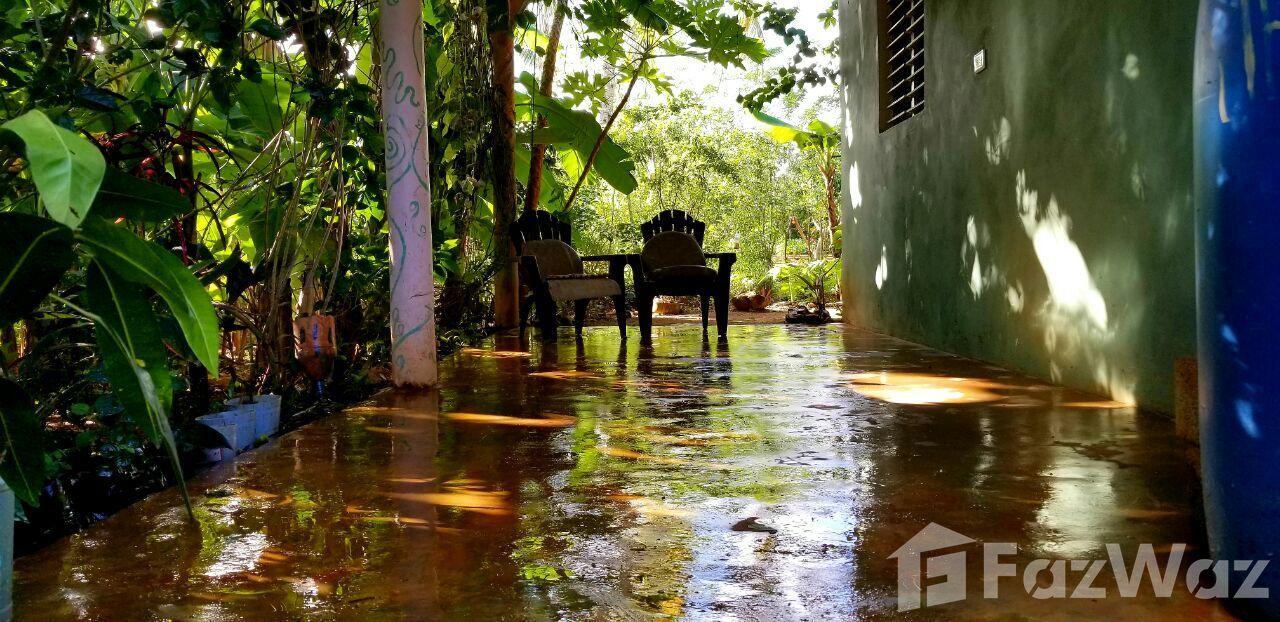 2 Bedroom House for Sale in Las Terrenas, Samana — photo 3