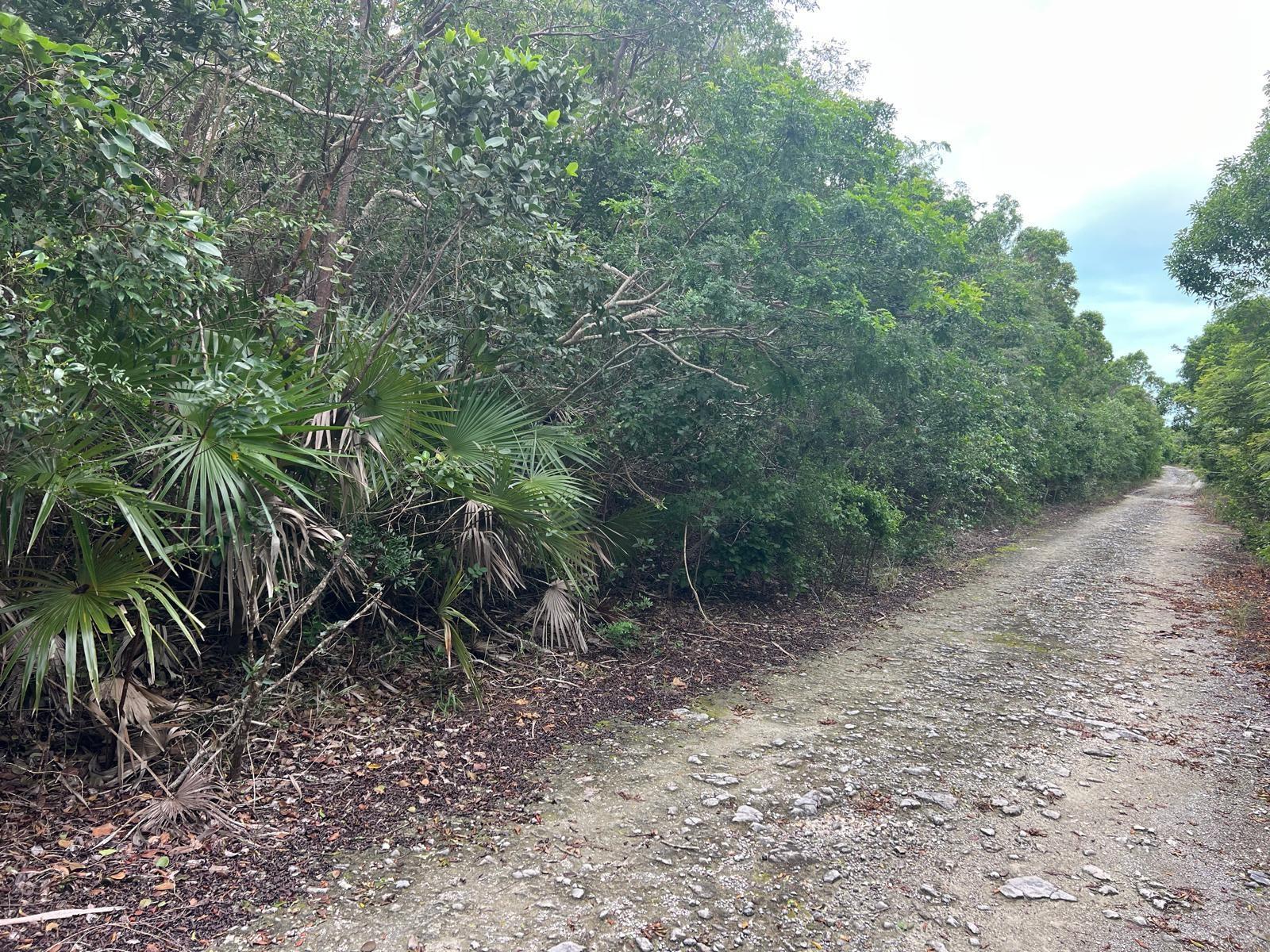 DOLPHIN ROAD — photo 4