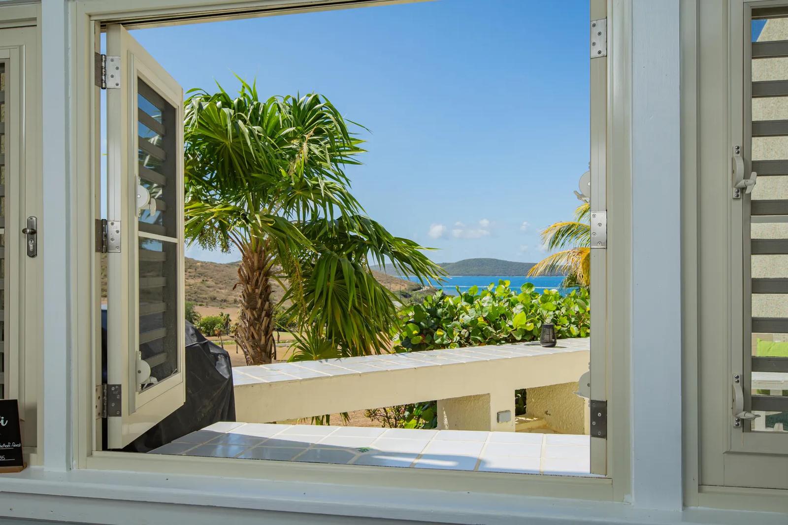 1 Bed Condo in Teagues Bay — photo 5