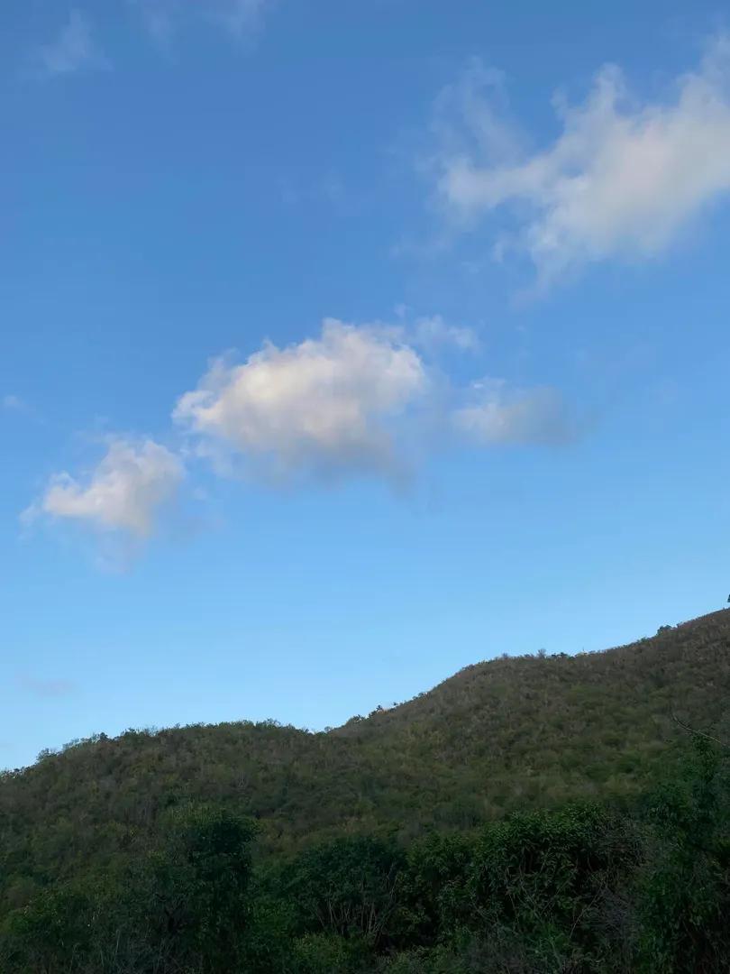 0.5 Acre Lot in St. Croix — photo 3