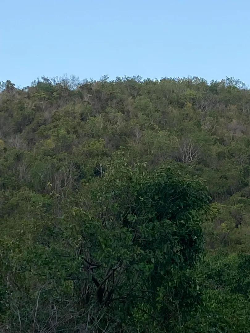 0.5 Acre Lot in St. Croix — photo 4