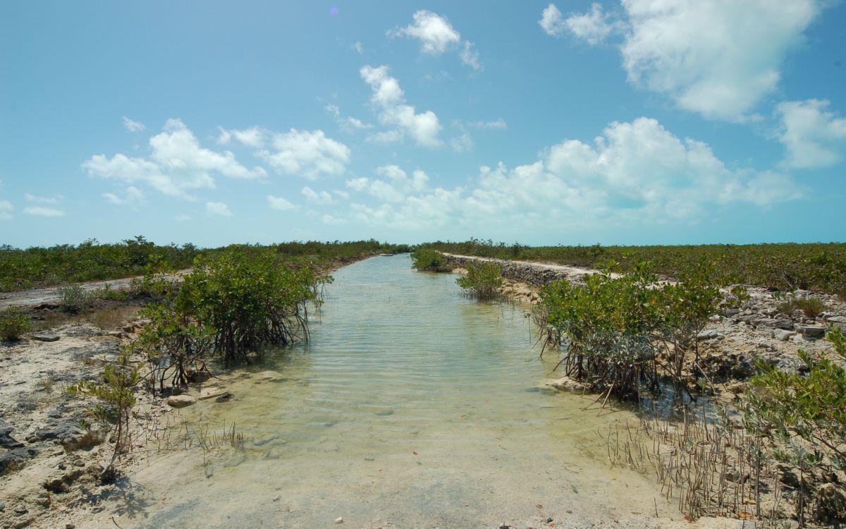 Lot 1074 - Mls 65288, Bahama Sound, Bahamas — photo 3