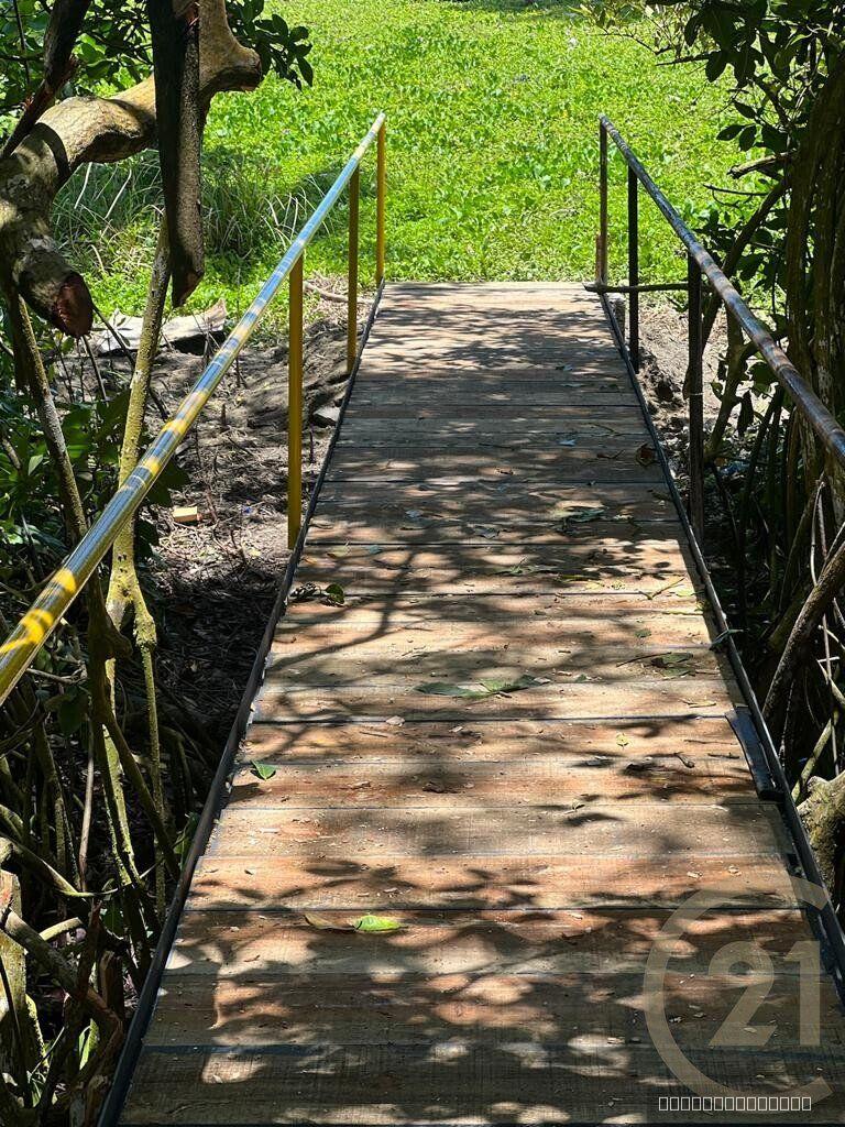 Beachfront Lots for sale in Las Canas, Gaspar Hernández — photo 4