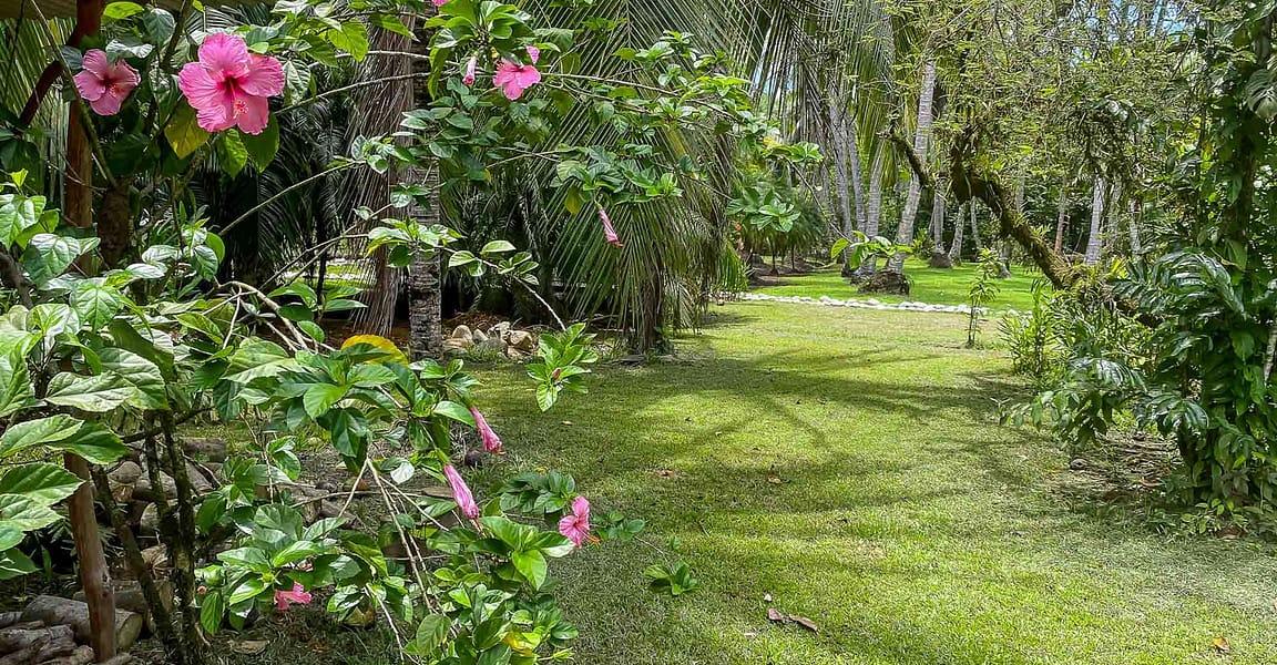 11 Key Lodge for Sale, Golfito, Osa Peninsula, Costa Rica — photo 4