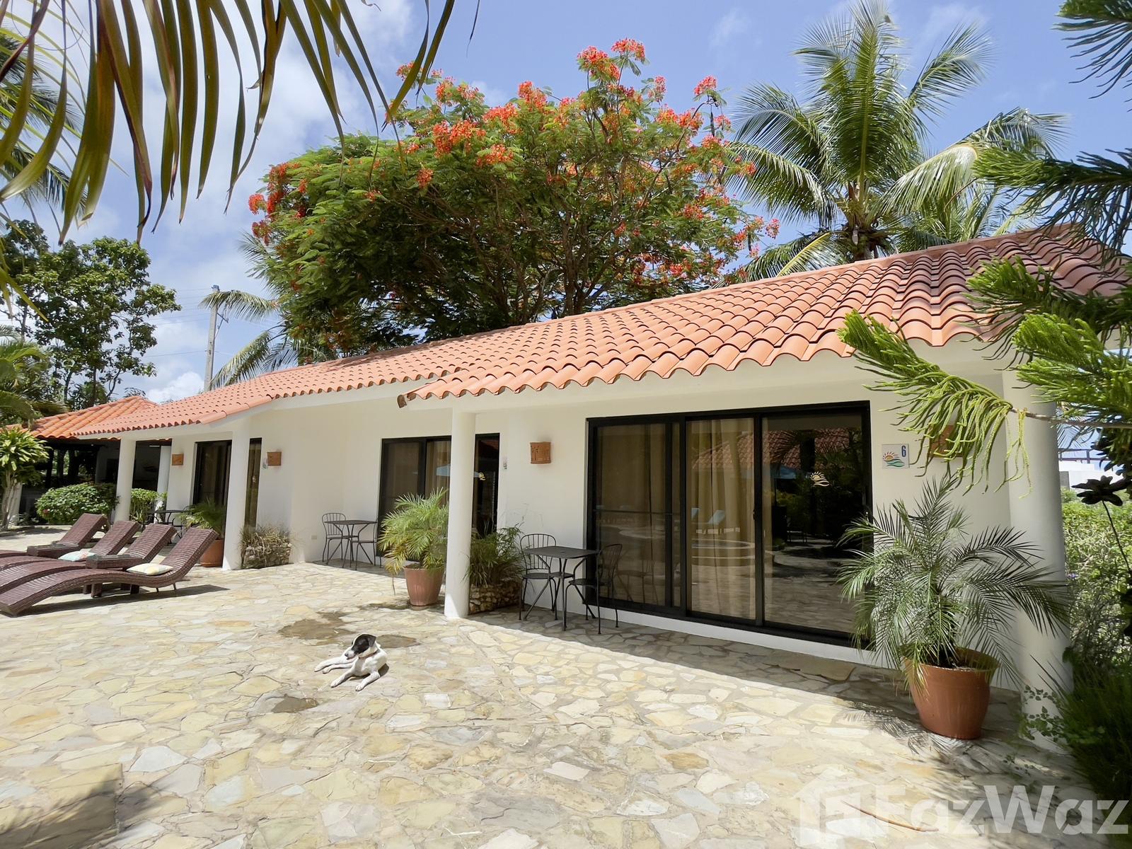 Live & Earn in Paradise - Boutique Bed & Breakfast for Sale — photo 2