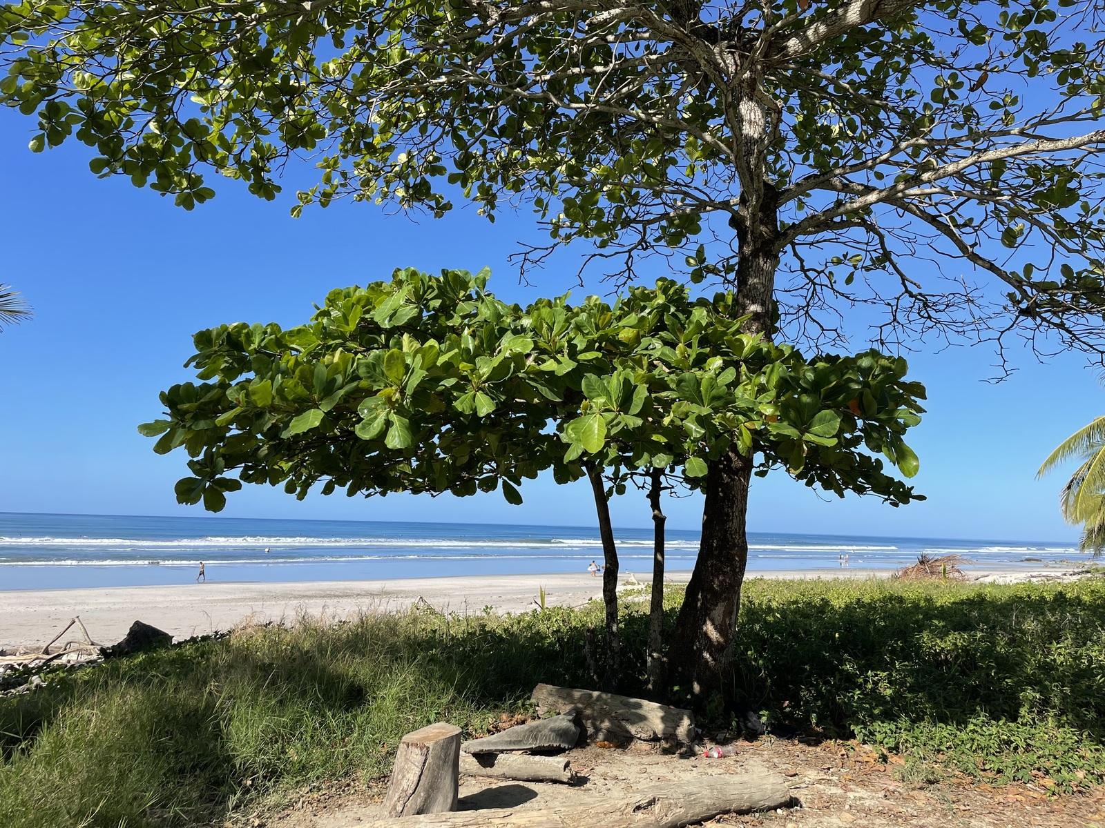 7 Bedroom Beachfront Guesthouse for Sale, Santa Teresa — photo 3