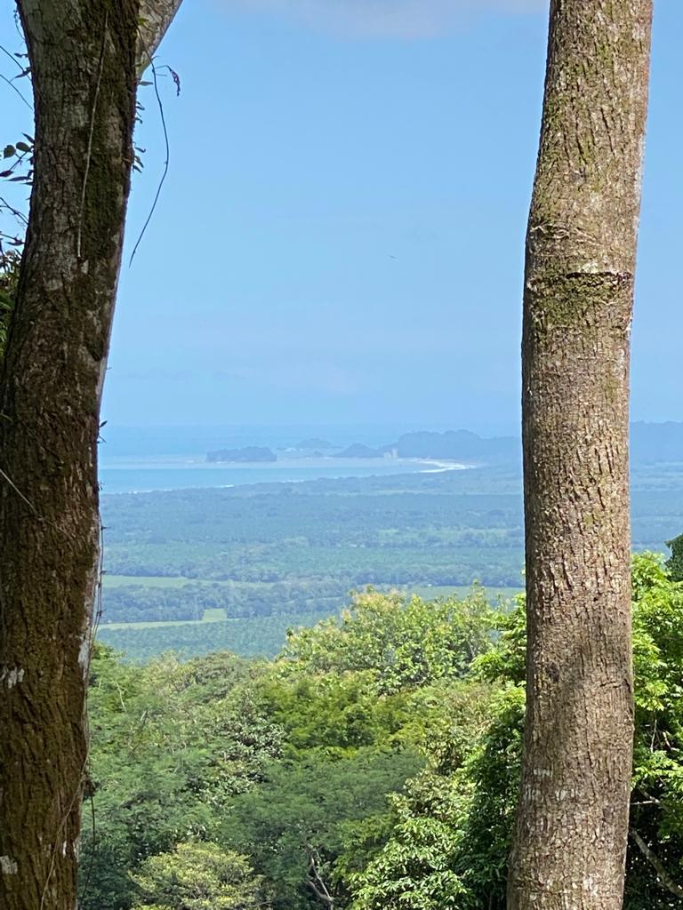 210 Acre Mountain Top Ranch for Sale, Matapalo, Puntarenas, Costa Rica — photo 3
