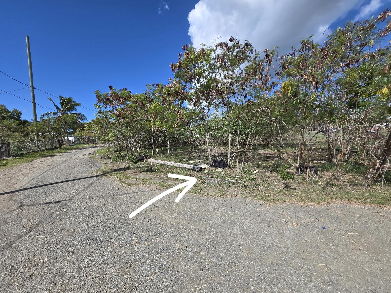 New Listing  LotsAcres  Williams De PR — photo 4