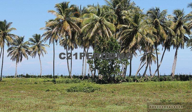 Oceanfront Development Lot for sale in Cabrera — photo 2