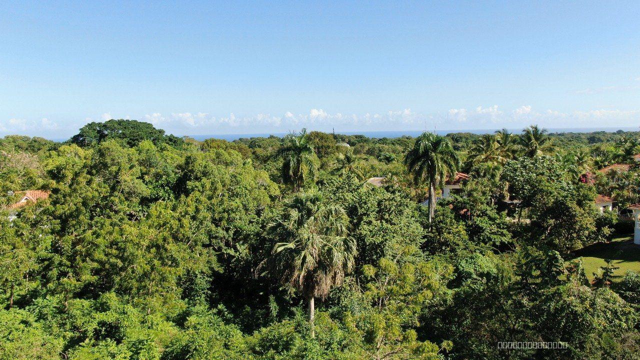 Large Oceanview Buildable Lot for sale in La Mulata, Sosúa — photo 3