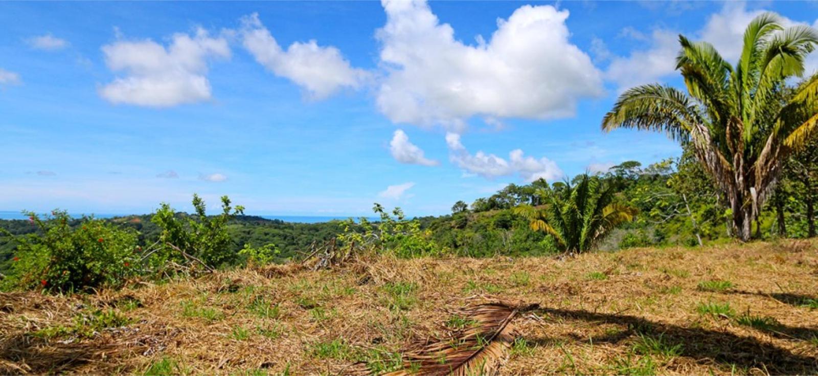 150 Acres of Land for Sale, Ojochal, Puntarenas, Costa Rica — photo 4