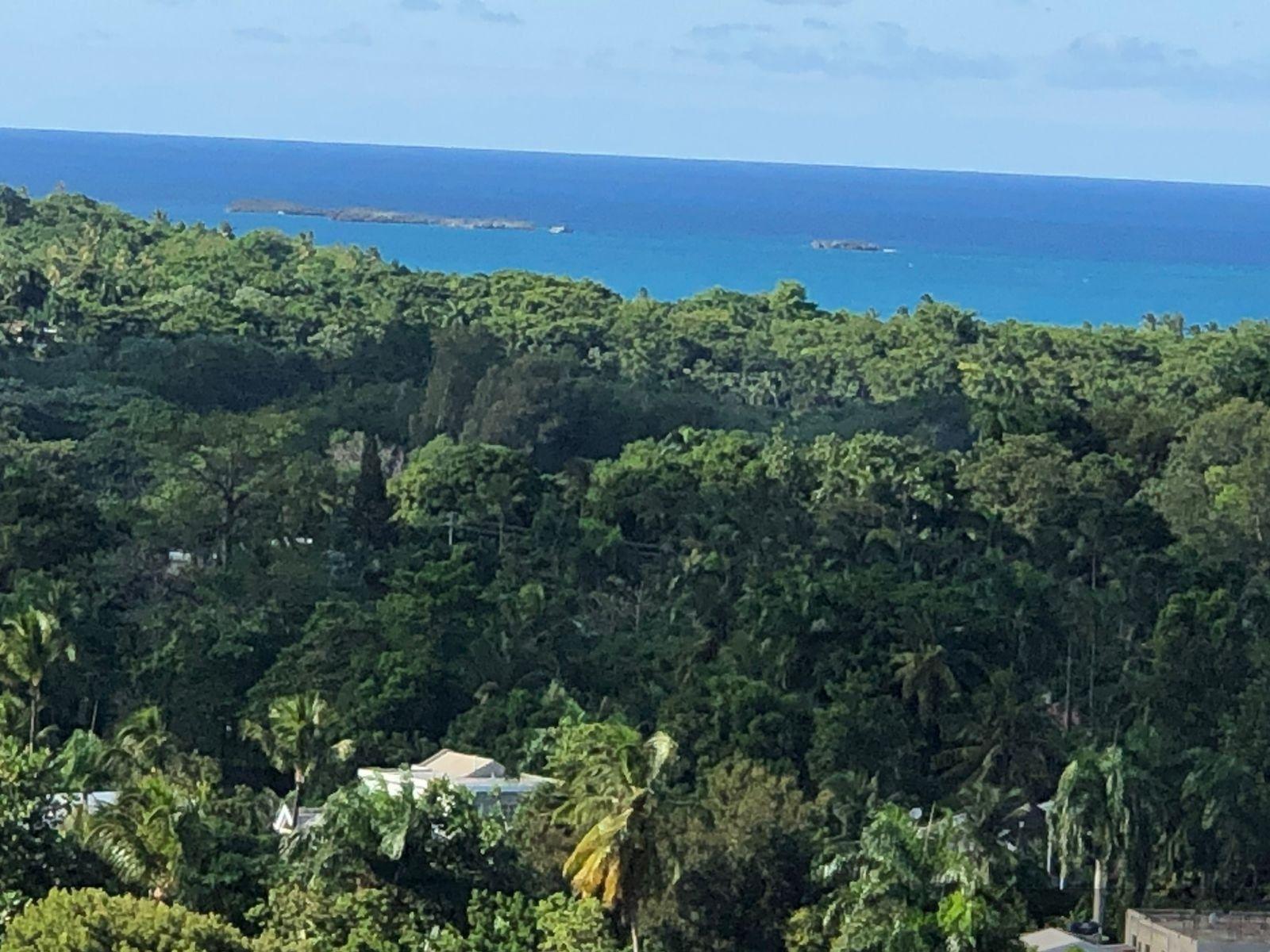 Sea View Land in the Hills of Las Terrenas — photo 3