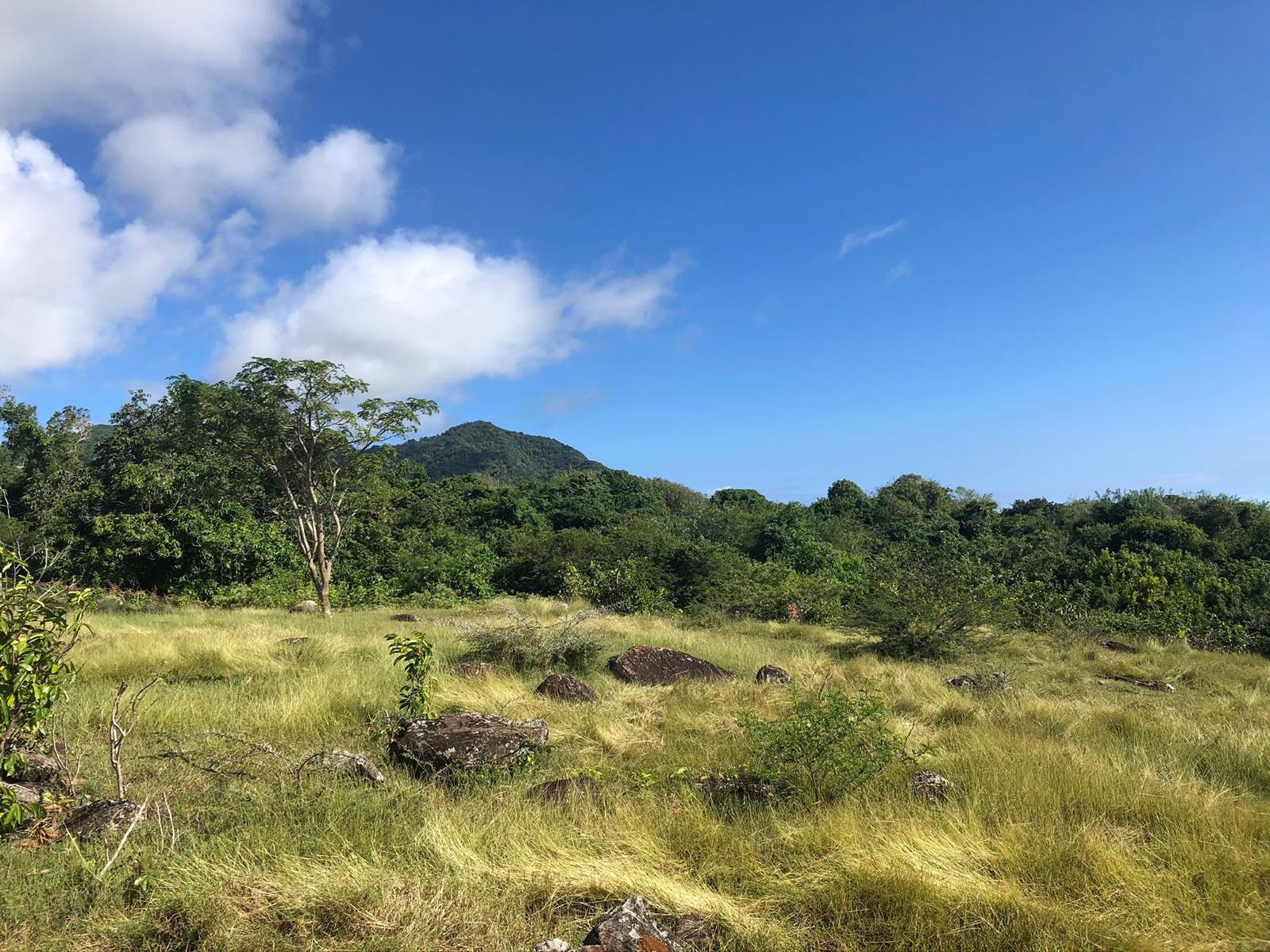 1-acre lots in Mill Side, Paradise Estates, Nevis — photo 1