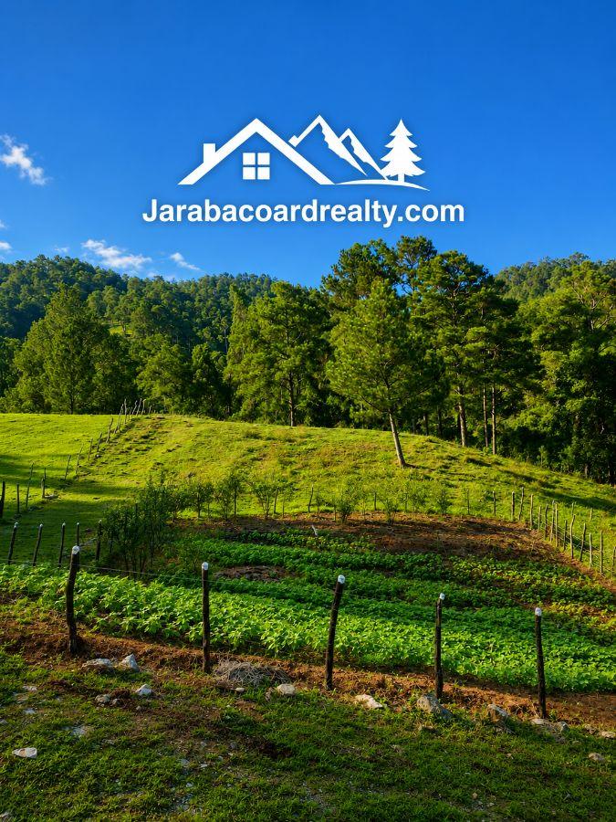Luxury Villa for Sale in Jarabacoa - USD$700,000 — photo 4