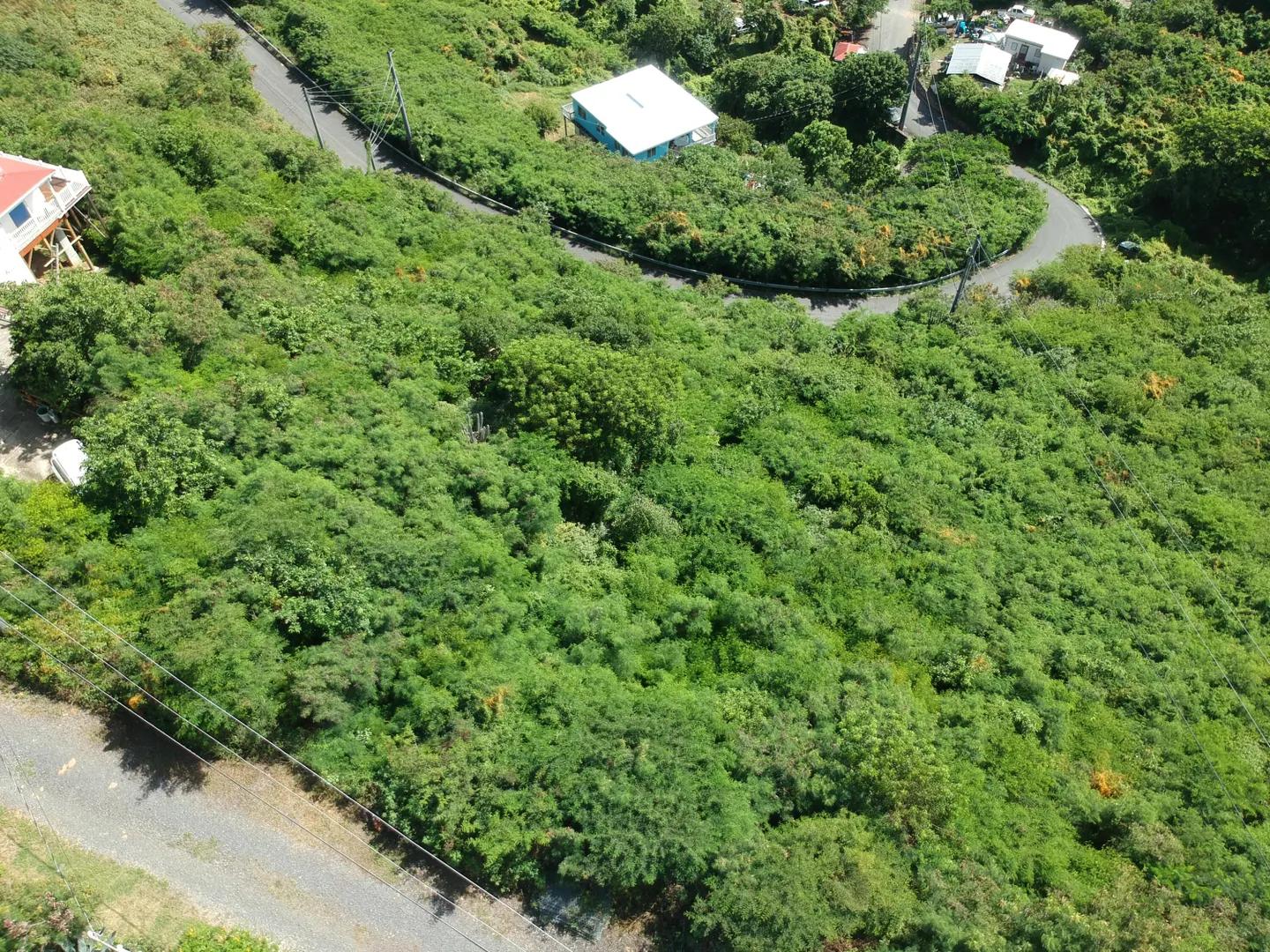 0.35 Acre Lot in St. John, US Virgin Islands — photo 5