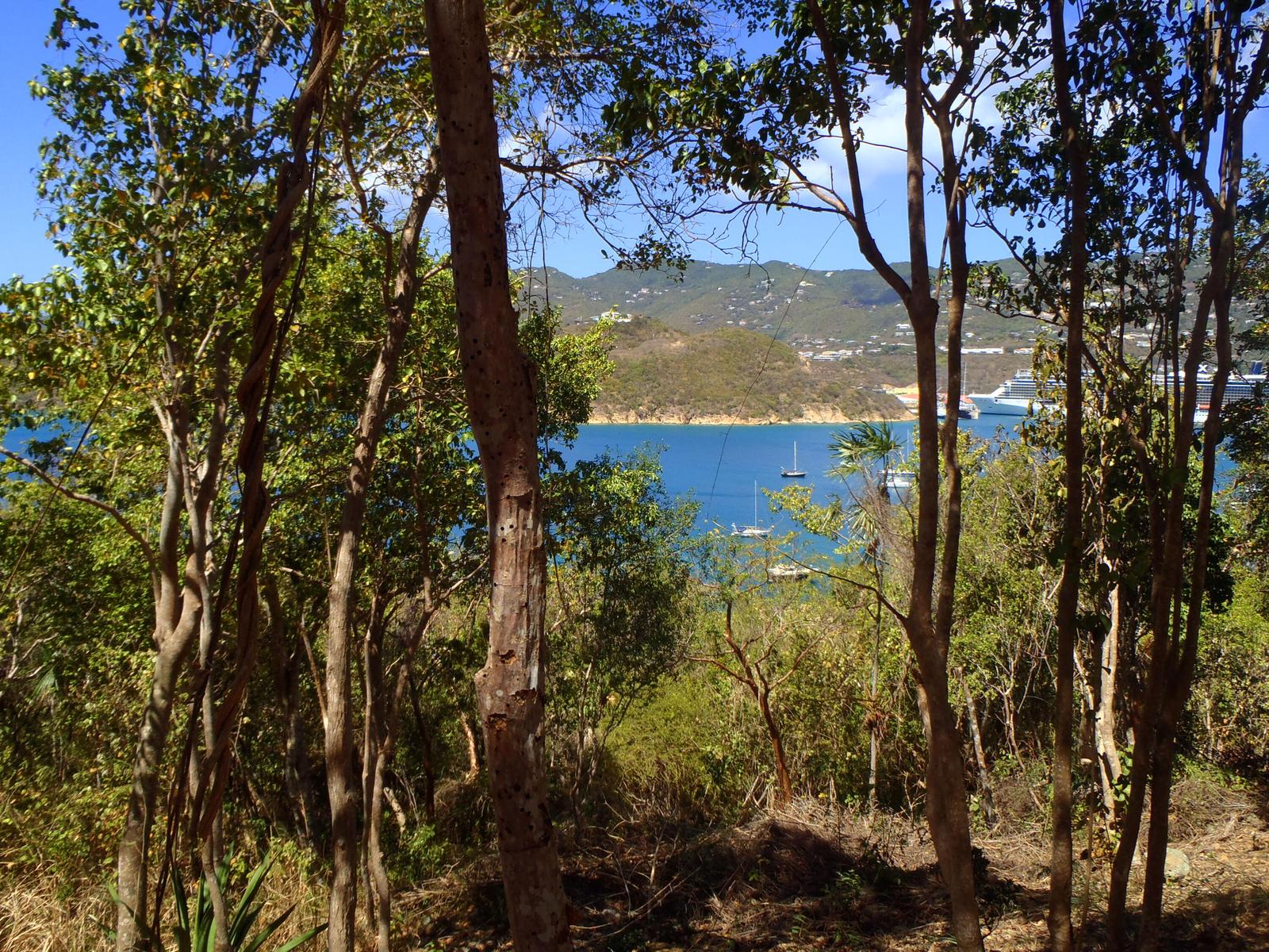 Land/Vacant Land for sale in Water Island — photo 4