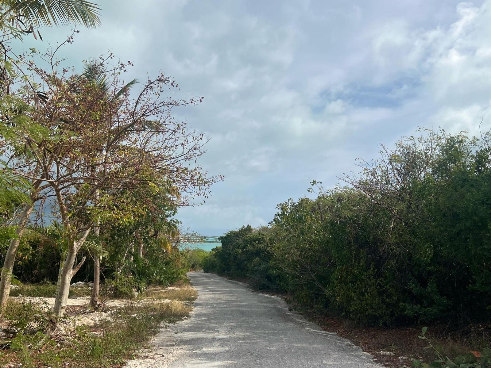CLIPPER ROAD — photo 2
