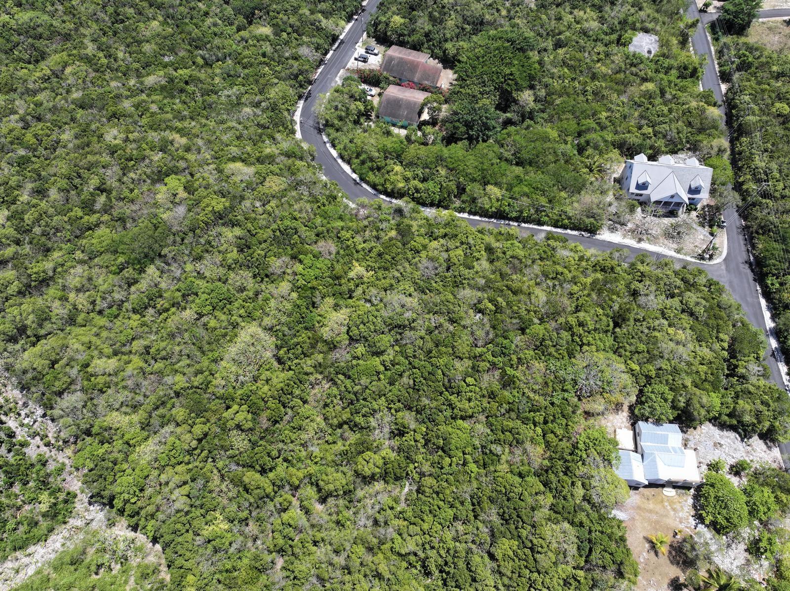 SOUTH PALMETTO POINT — photo 5