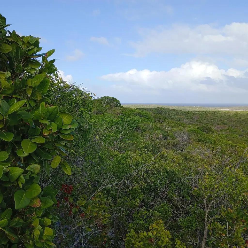 Ocean view lot in Line Bay Subdivision, Long Island — photo 1