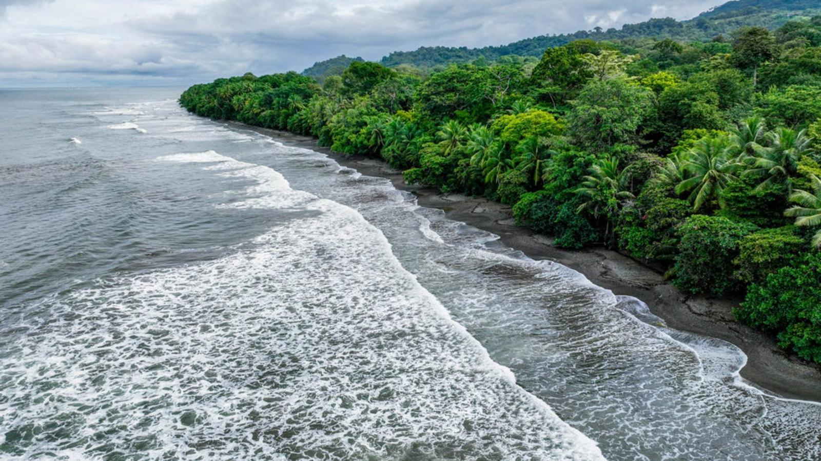 2.75 Acre Beachfront Property for Sale, Uvita, Puntarenas, Costa Rica — photo 5
