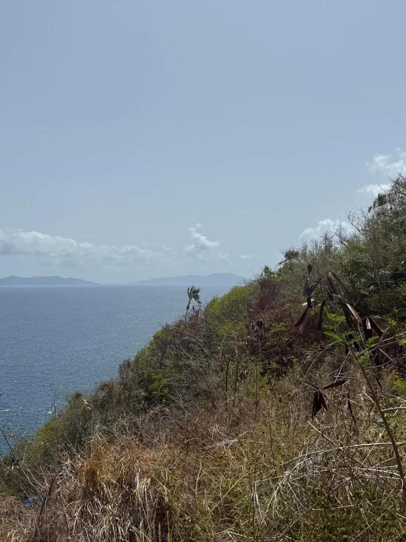 0.77 Acre Waterfront Homesite in Mahogany Run — photo 4