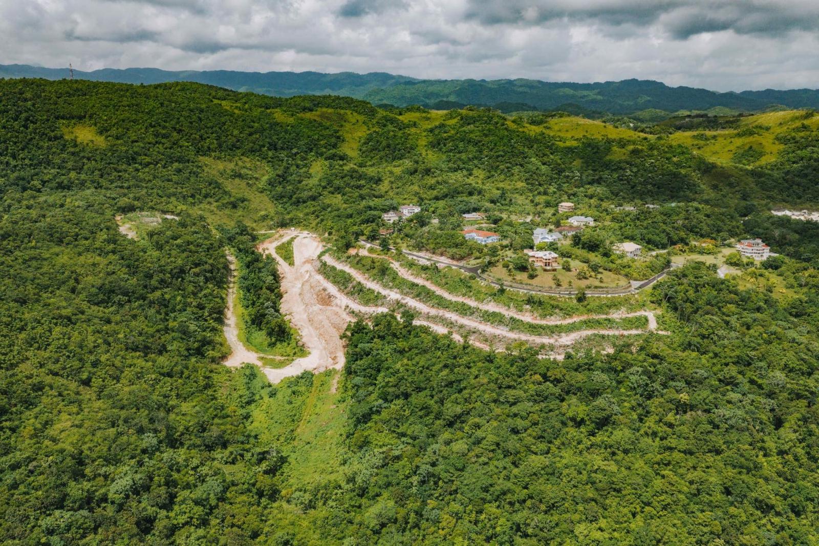 0.59 acre ocean view lot in Friendship, Portland, Jamaica — photo 4