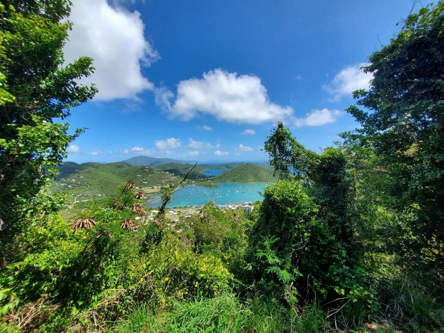 0.51 Acre Lot in Carolina, St. John — photo 5