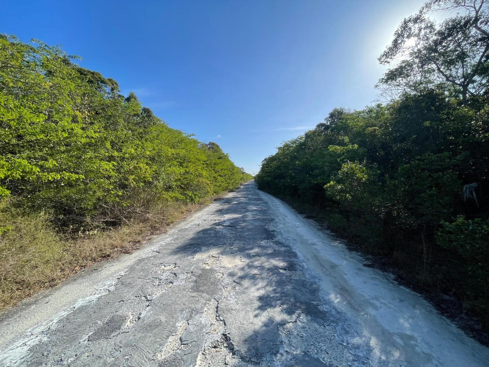 Bahama Sound Land in Exuma, The Bahamas — photo 3