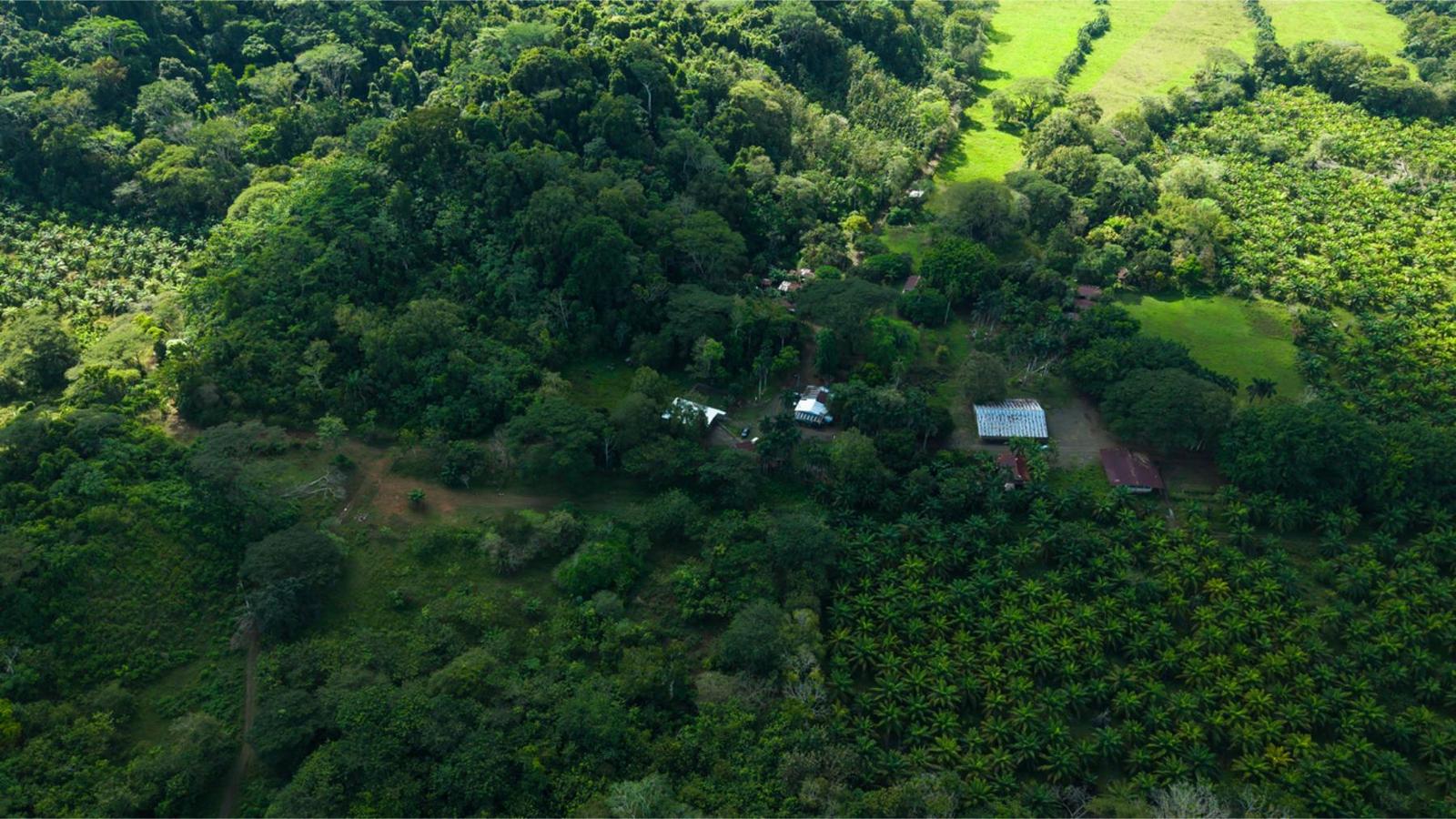 4,850 Acres Beachfront Land for Sale — photo 4