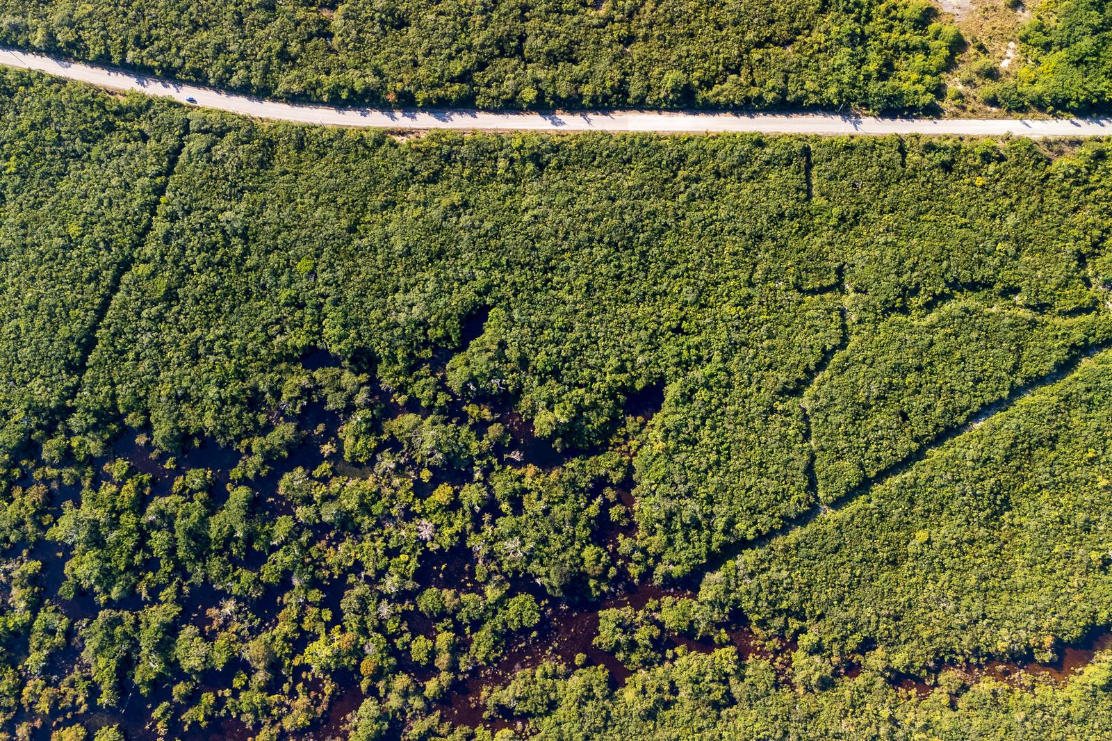 North Caicos Undeveloped Land — photo 2
