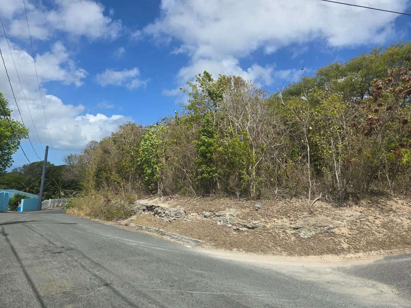 Homesite at 169-b Mary's Fancy Qu — photo 3