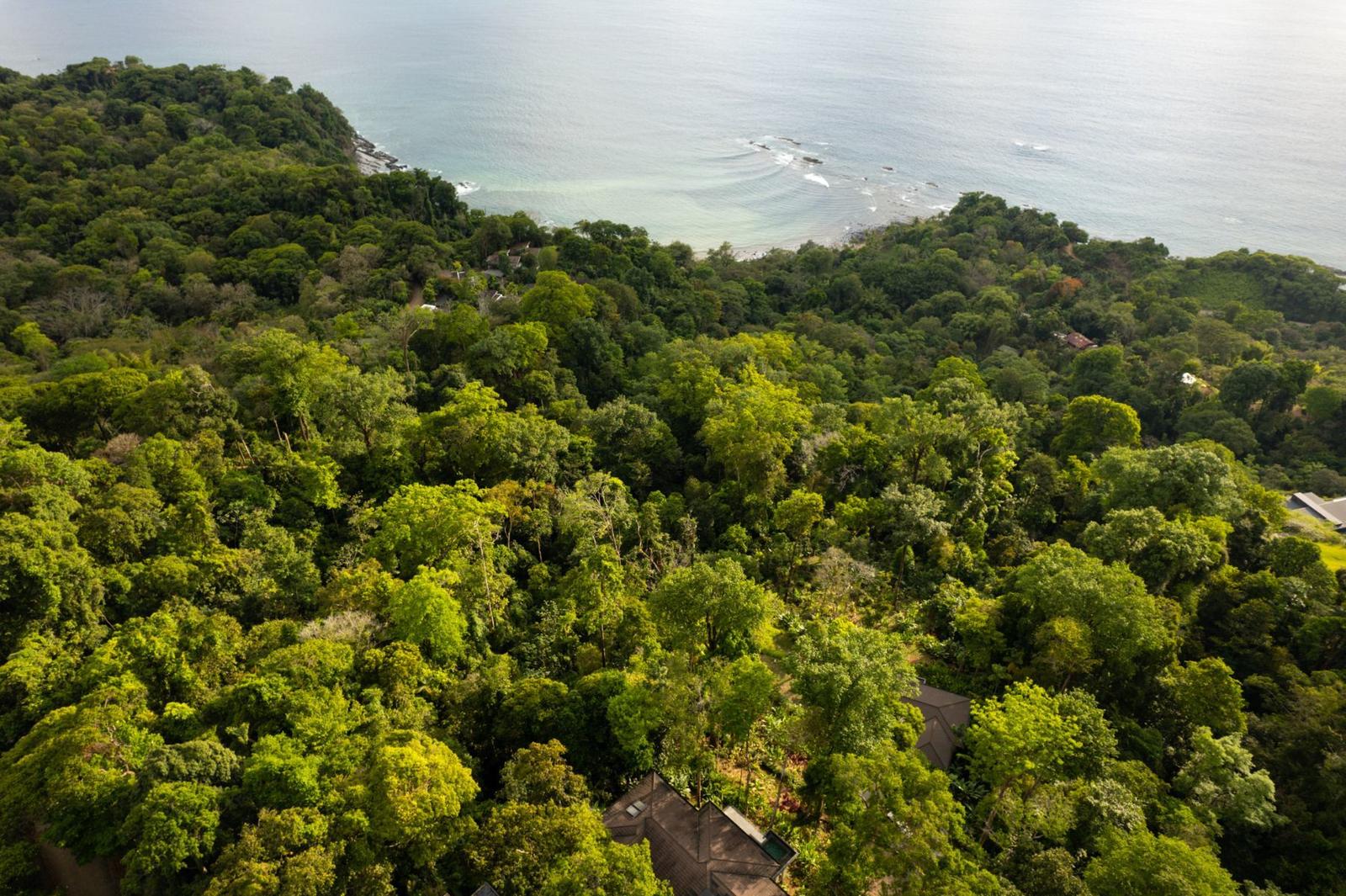 6,311 Sq M Lot for Sale, Escaleras Village, Puntarenas, Costa Rica — photo 3