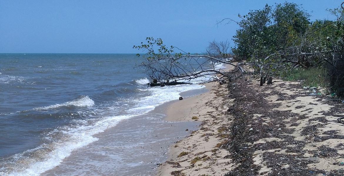 Affordable Mayacan Lot on the Beach — photo 2