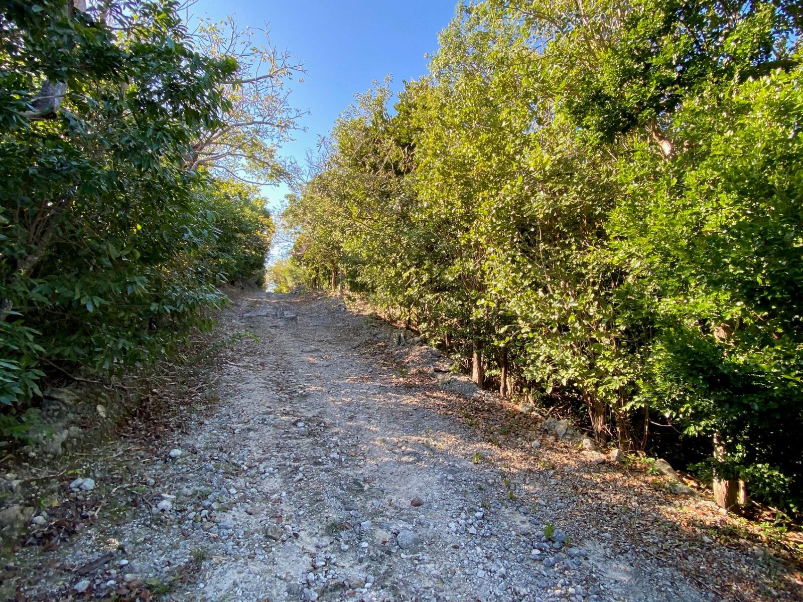 Vacant Land for sale - Lot 4, Lubbers Quarters, Bahamas — photo 4