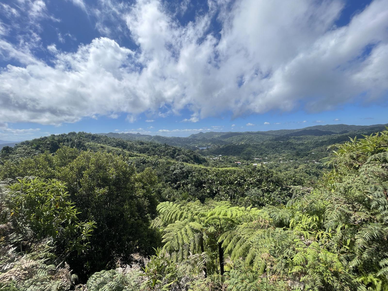 230 Acres Farmland with Streams in Adjuntas, Puerto Rico — photo 2