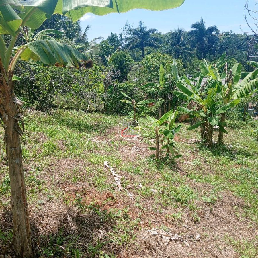Residential Land for Sale in La Jugua, Hoyo del Cacao, Las Terrenas — photo 2