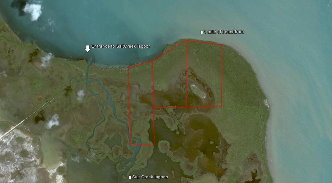 Beachfront land, 100 acres at Colson Point, Dangriga — photo 4
