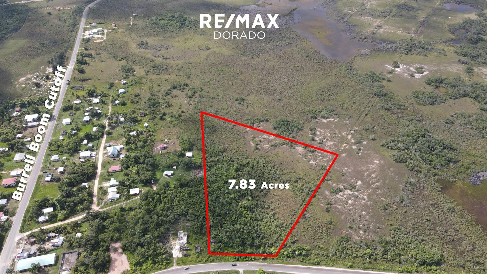 7.83 Acre Property on George Price Highway! — photo 4