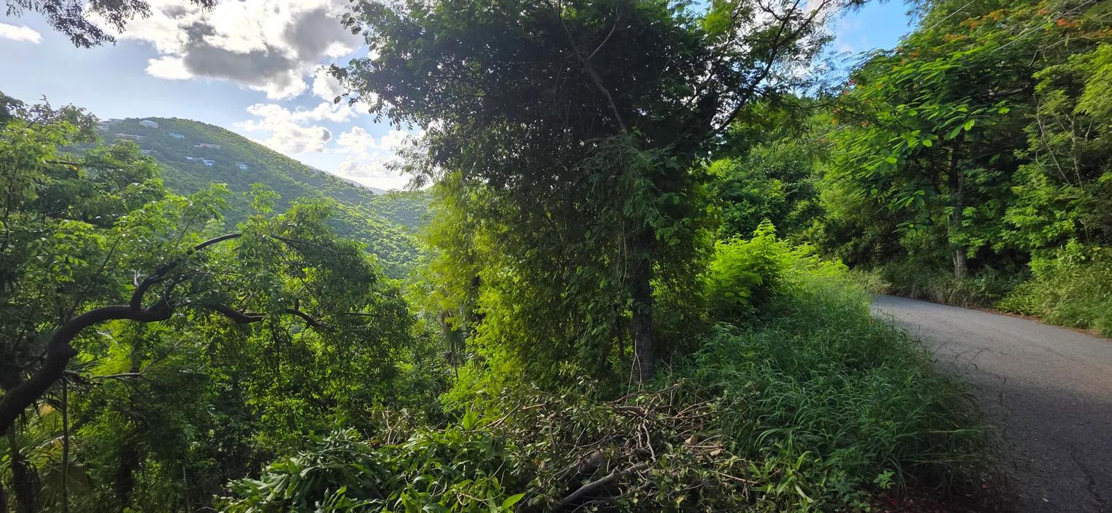 0.51 Acre Lot 4-17-a Tabor & Harmony Ee — photo 5